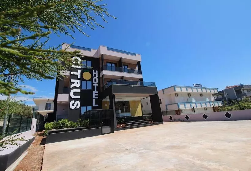 Hotel Citrus