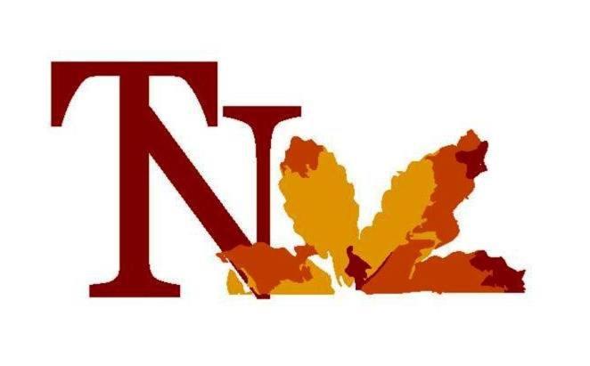 Отель Terranova