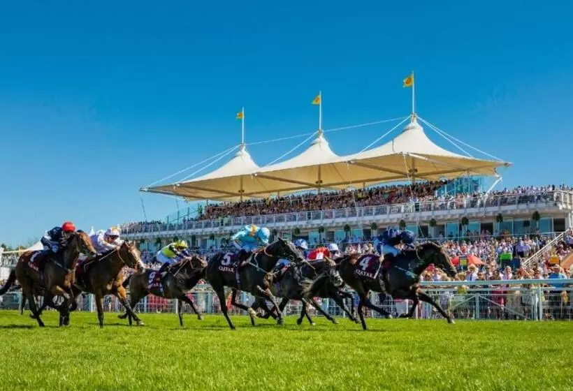 Hotelli Purchases Restaurant & Accommodation