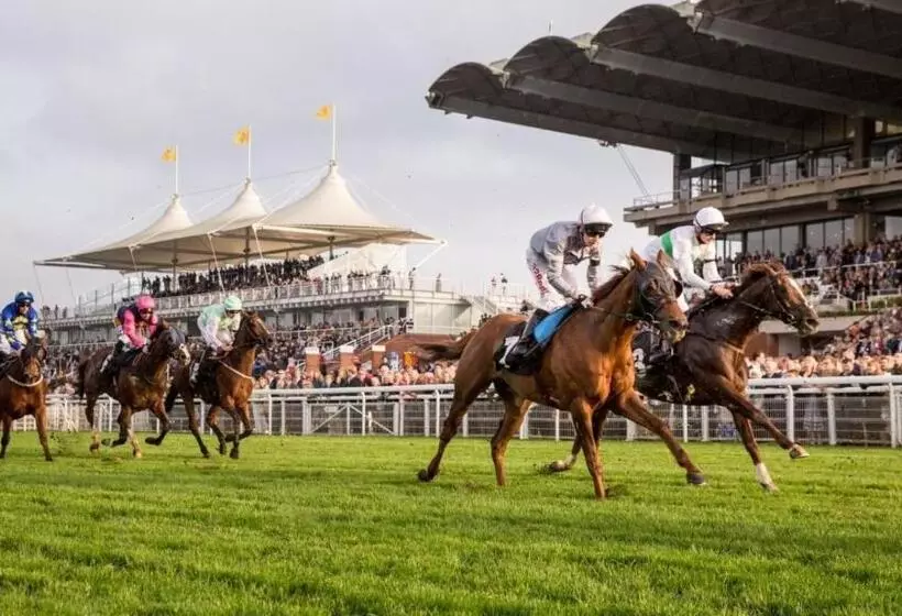 Hotelli Purchases Restaurant & Accommodation