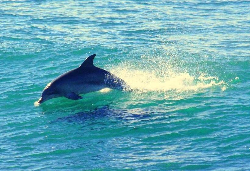 Mollymook Beach Waterfront