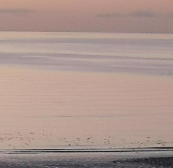 Majatalo Bayside Lodge