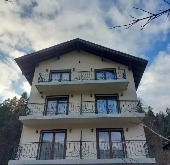 پانسیون Fulg De Nea