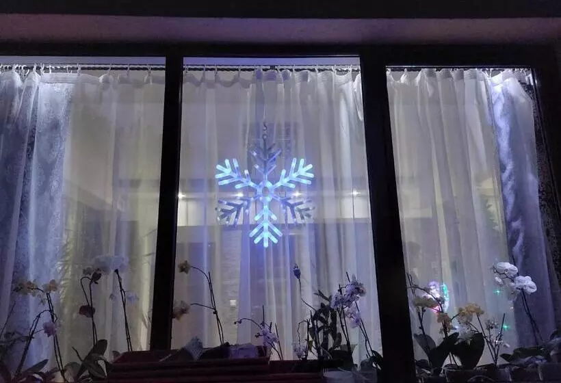 پانسیون Fulg De Nea