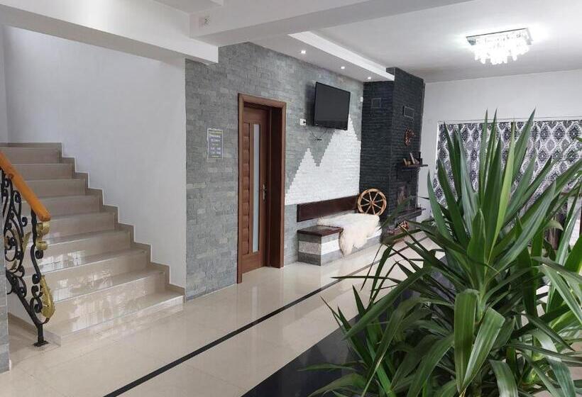 بنسيون Fulg De Nea