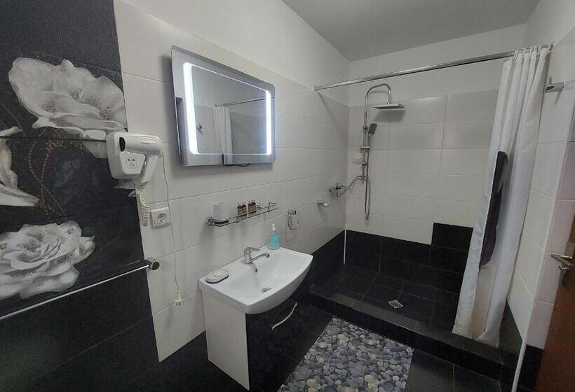 بنسيون Fulg De Nea