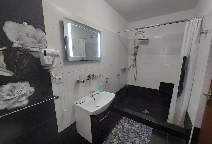 پانسیون Fulg De Nea