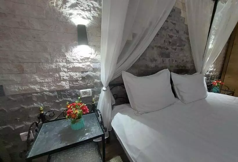 پانسیون Fulg De Nea