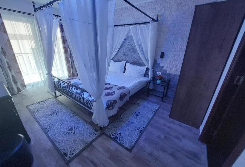 بنسيون Fulg De Nea