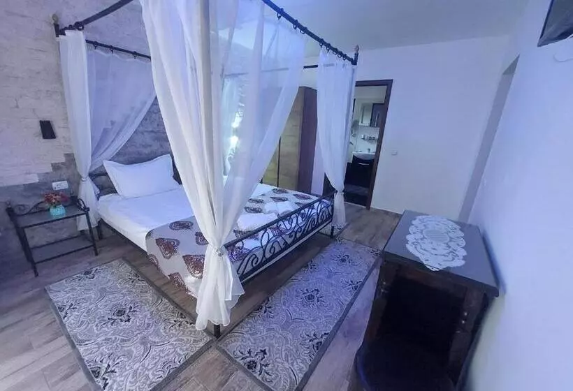 پانسیون Fulg De Nea