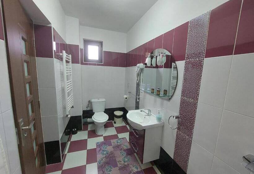 بنسيون Fulg De Nea