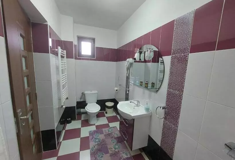 پانسیون Fulg De Nea