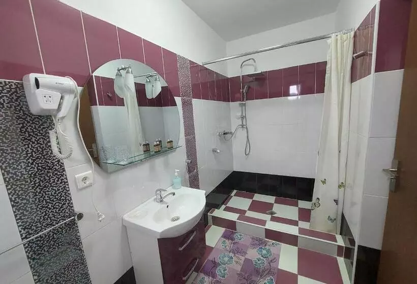 پانسیون Fulg De Nea