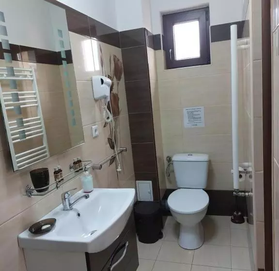 پانسیون Fulg De Nea