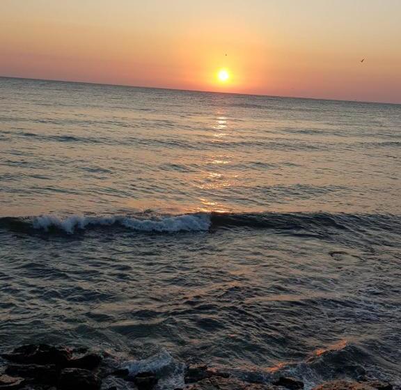 פנסיון Ioana   Camere De Inchiriat