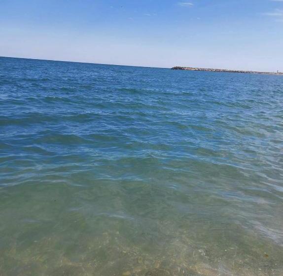 פנסיון Ioana   Camere De Inchiriat