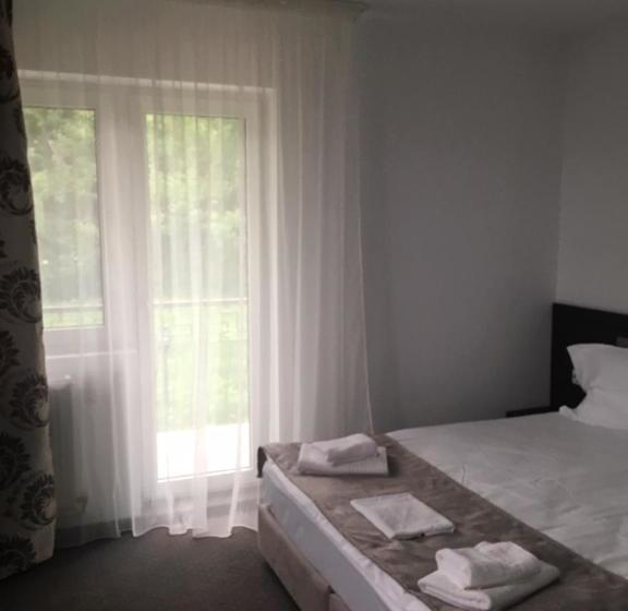 פנסיון Ioana   Camere De Inchiriat