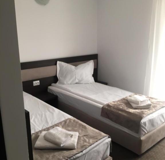 פנסיון Ioana   Camere De Inchiriat