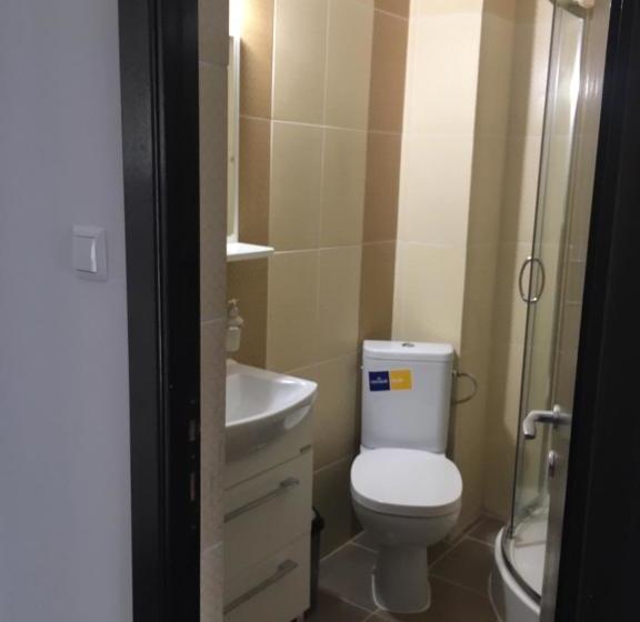 פנסיון Ioana   Camere De Inchiriat