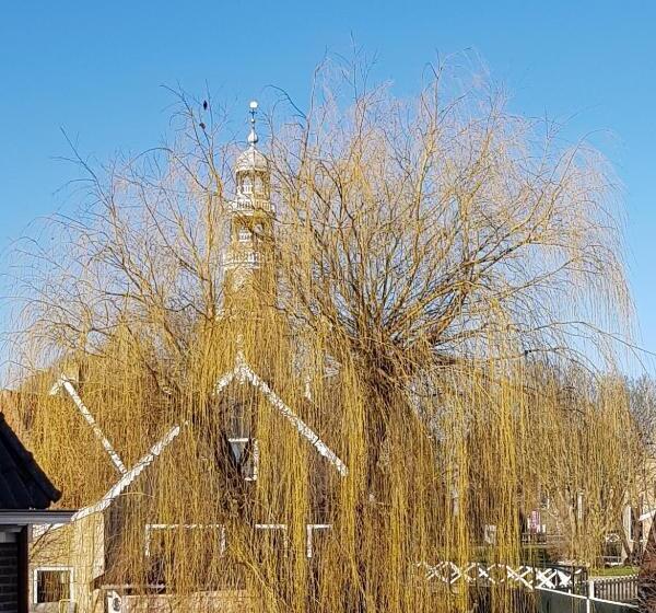 Atelier B&b Sinnestriel