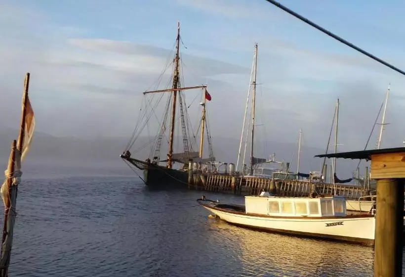 Aamiaismajoitus (B&B) Birch Lane