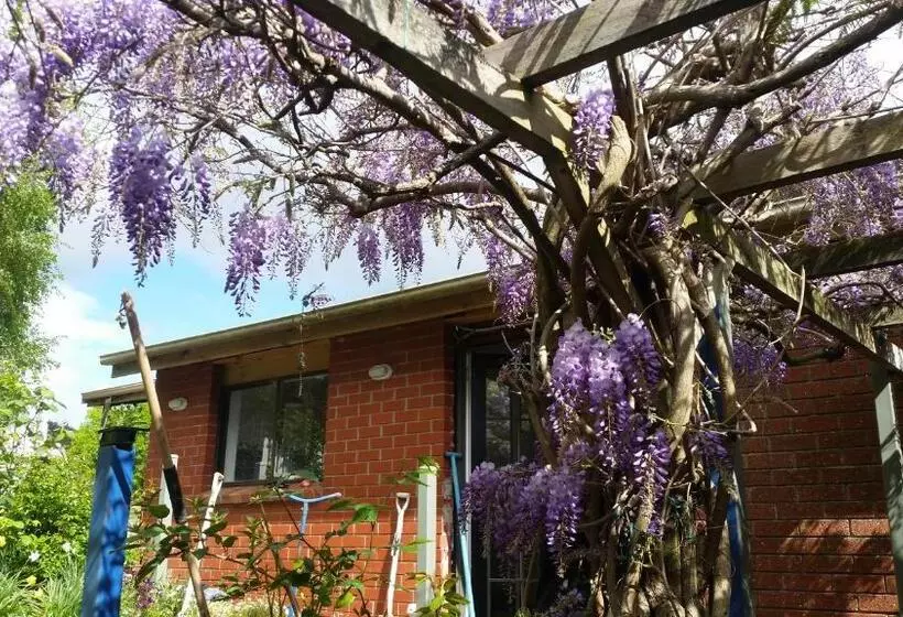 Aamiaismajoitus (B&B) Birch Lane