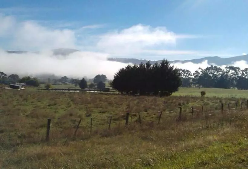 Aamiaismajoitus (B&B) Birch Lane