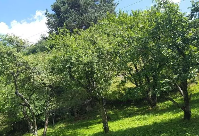 تختخواب و صبحانه Raul Lushnu Darbaz