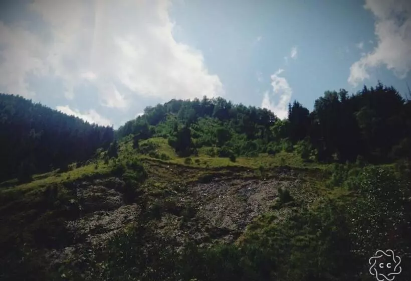 تختخواب و صبحانه Raul Lushnu Darbaz