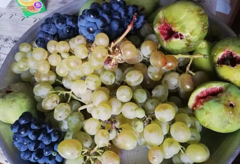 تختخواب و صبحانه Raul Lushnu Darbaz