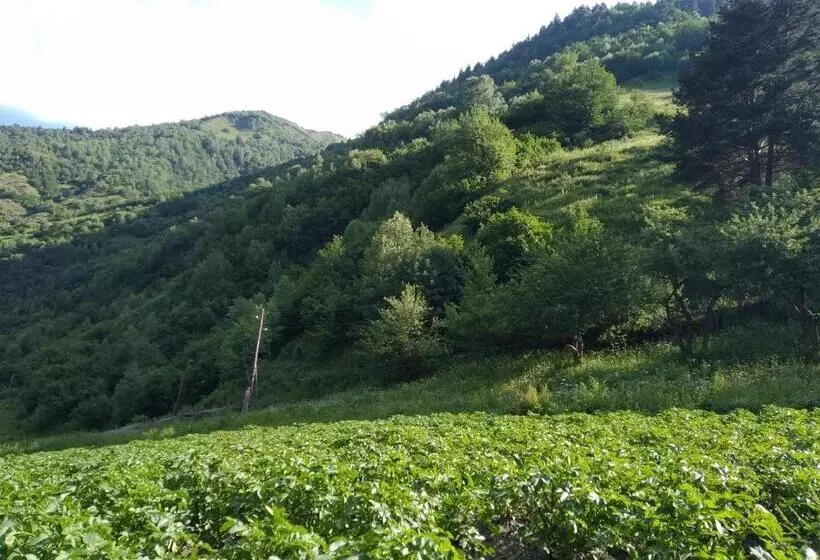 تختخواب و صبحانه Raul Lushnu Darbaz