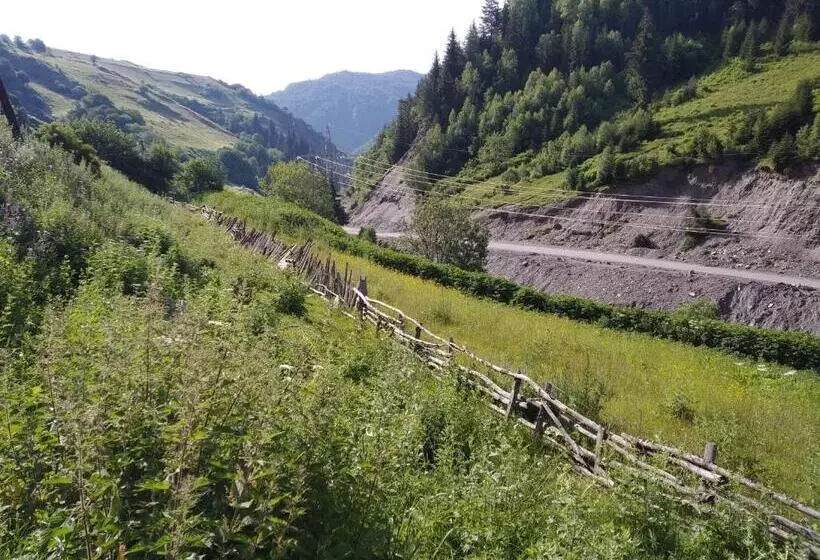 تختخواب و صبحانه Raul Lushnu Darbaz