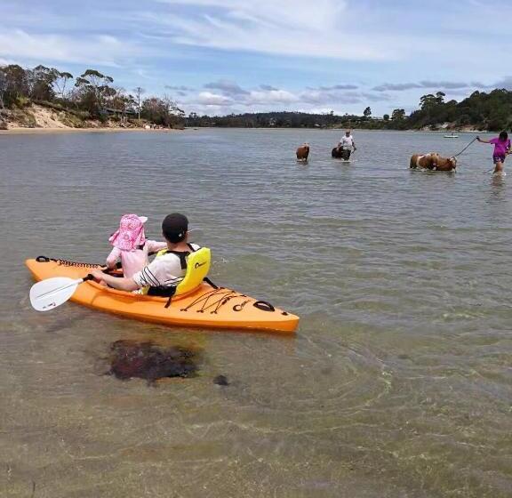 ベッドアンドブレックファースト Steeles Island Retreat