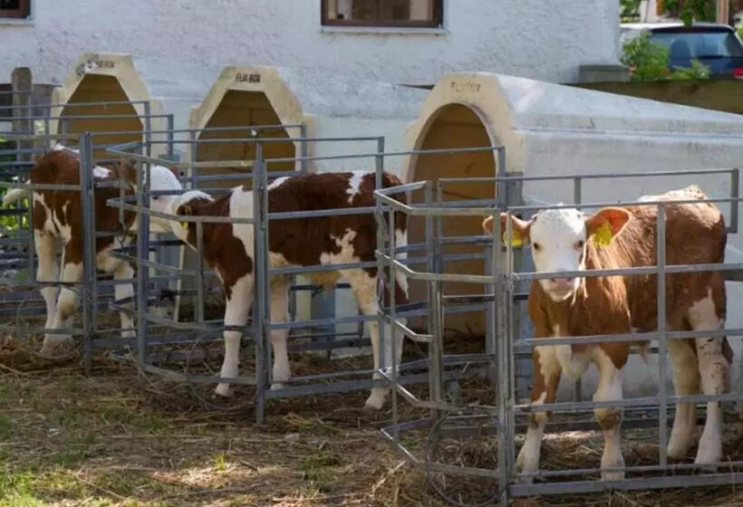 ホテル König Andrea Schwaigerhof Rottau