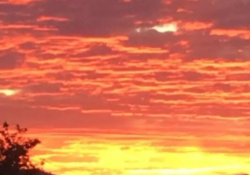 Majatalo Henry S Quirindi