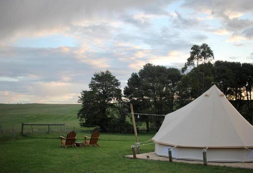 פנסיון Pine Country Caravan Park