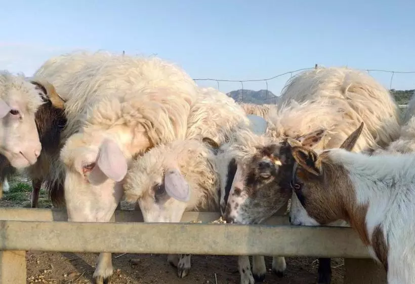 ペンション Terremesu A Castiadas Villasimius Costa Rei