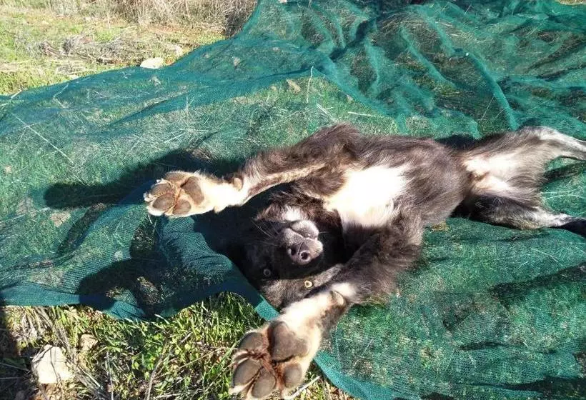 ペンション Terremesu A Castiadas Villasimius Costa Rei