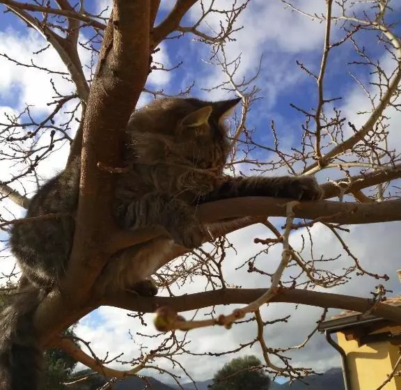 ペンション Terremesu A Castiadas Villasimius Costa Rei