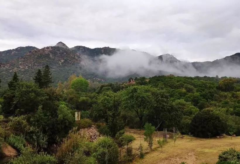 ペンション Terremesu A Castiadas Villasimius Costa Rei