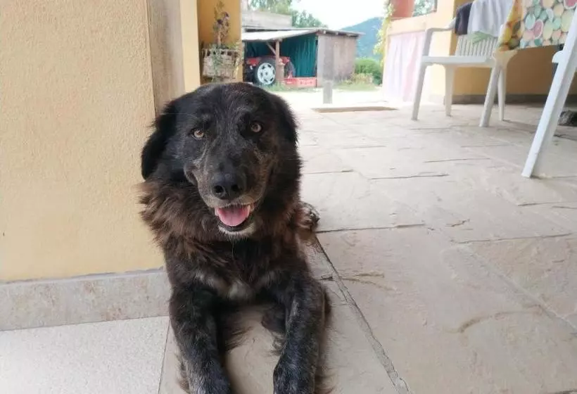 ペンション Terremesu A Castiadas Villasimius Costa Rei