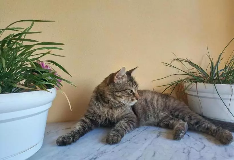 ペンション Terremesu A Castiadas Villasimius Costa Rei