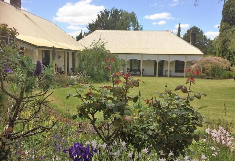 住宿加早餐  Dingup House