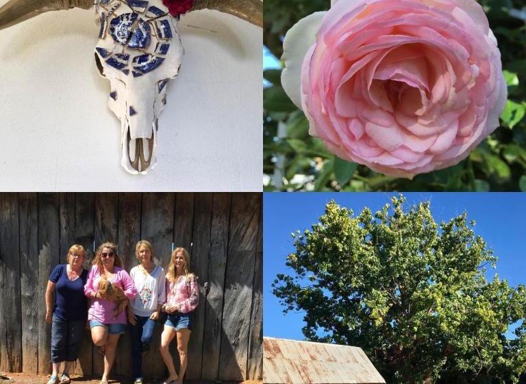 住宿加早餐  Dingup House