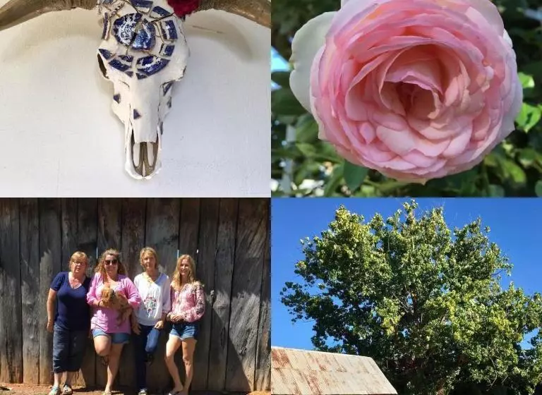 ベッドアンドブレックファースト Dingup House