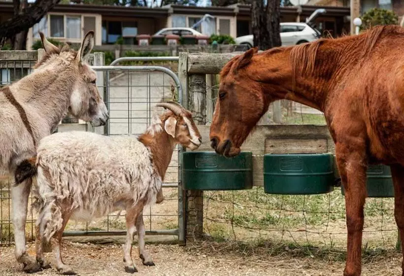 Bellbrae Country Club