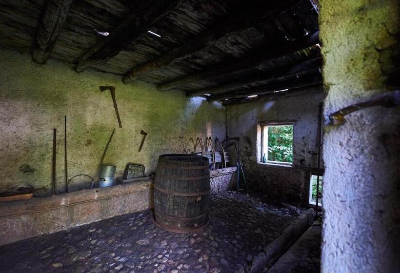 בית מלון כפרי Belvedere