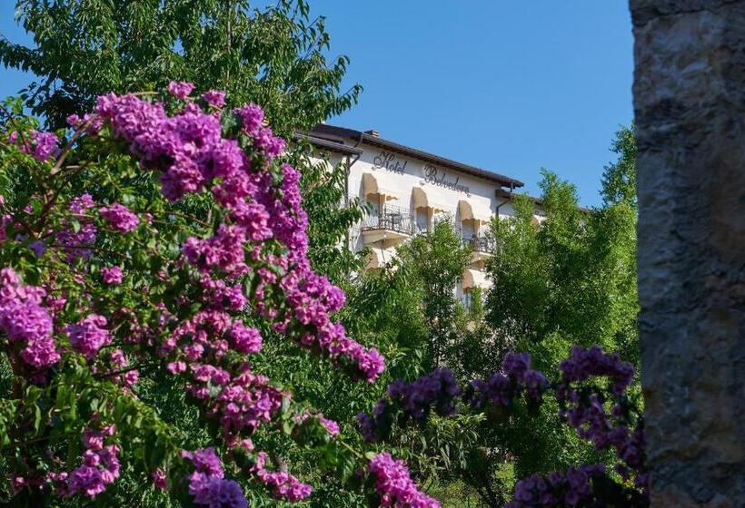 בית מלון כפרי Belvedere