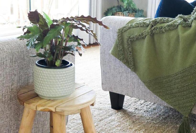 ホテル Drumreagh Cabins