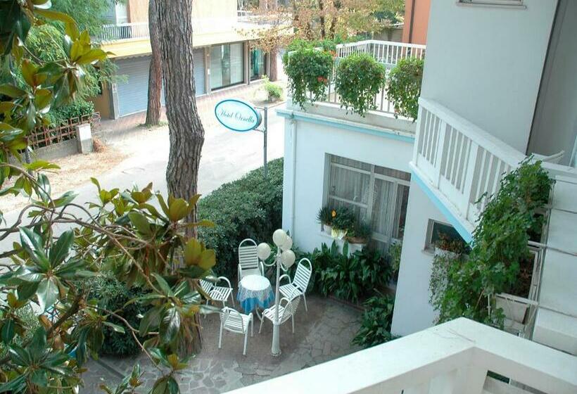 酒店 Pensione Ornella